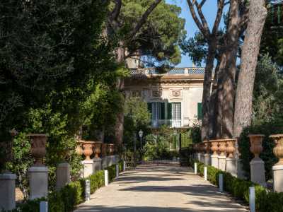 Il viale porta davanti a un cancello nero, quello che separa il parco pubblico dalla villa privata...